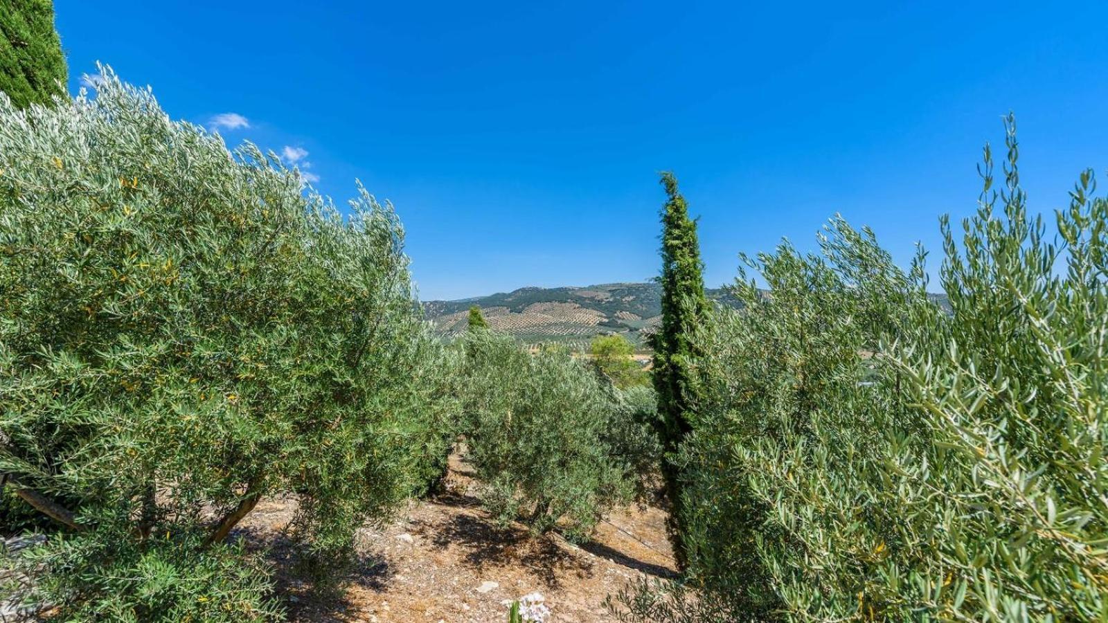 فيلا Cortijo Casablanca Priego De Cordoba By Ruralidays المظهر الخارجي الصورة